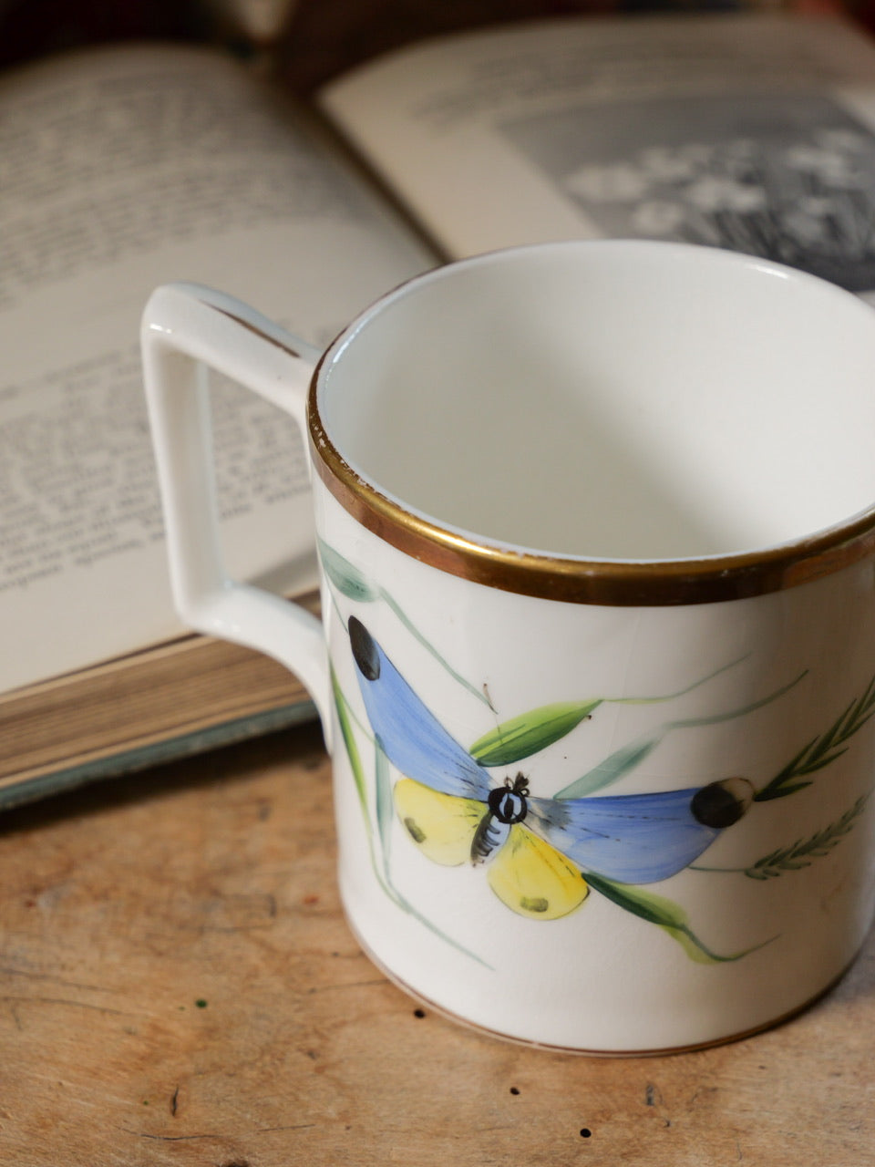 Victorian Hand Painted Butterfly Cup