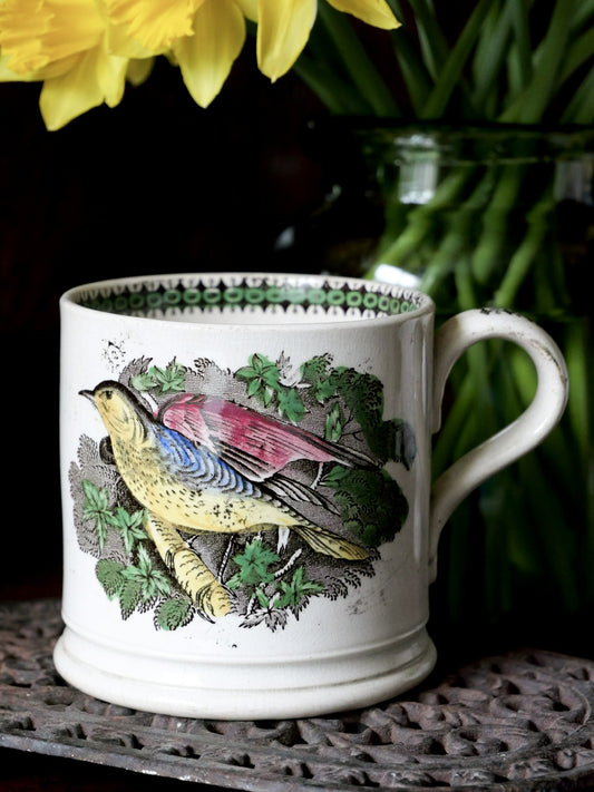 19th Century Hand Coloured Bird Mug