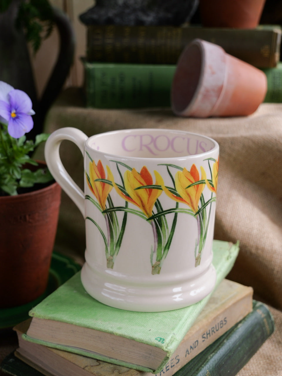 Emma Bridgewater Mug - ‘Crocus’