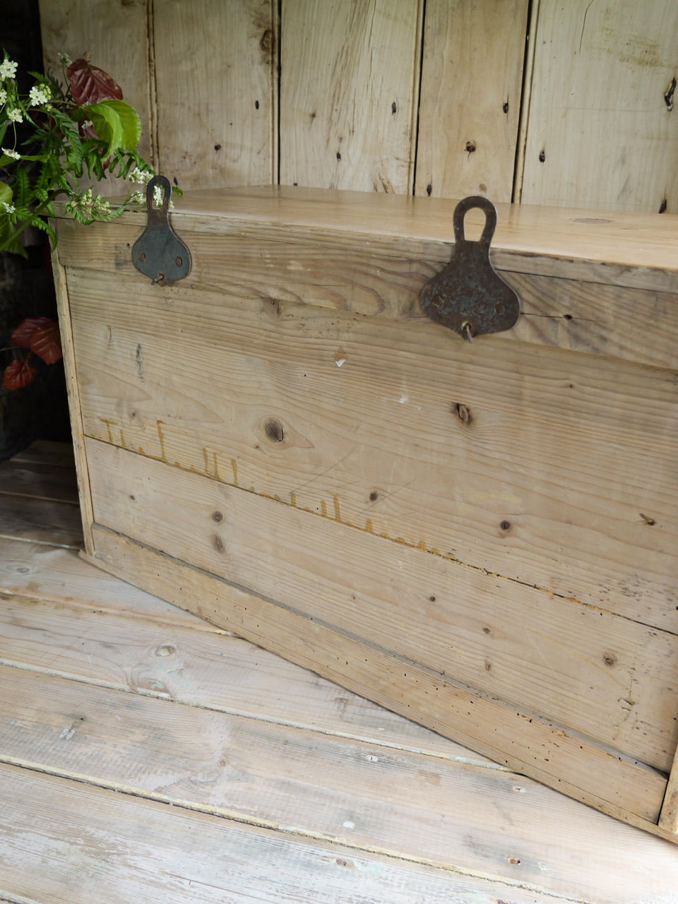 Antique Pine Wall Cupboard