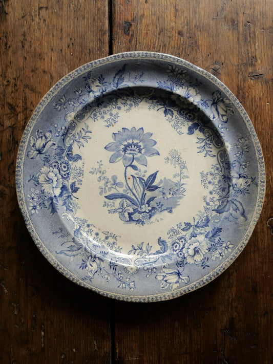 Antique Botanical Blue Transferware Plate