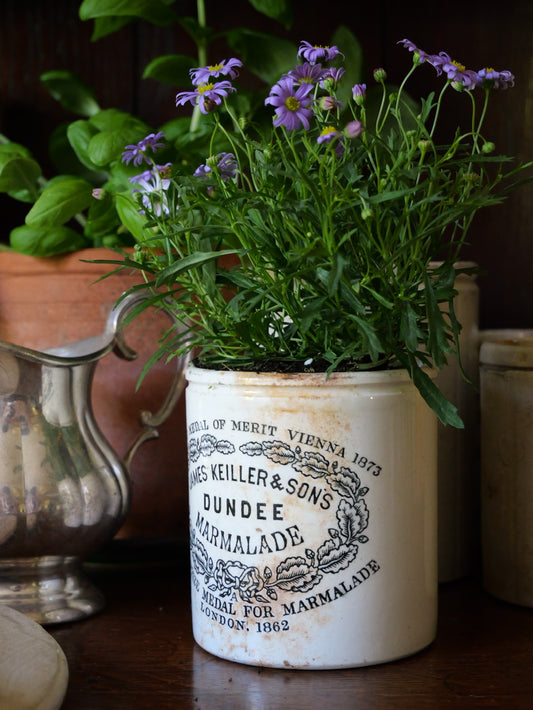 Antique James Keiller & Sons Marmalade Pot