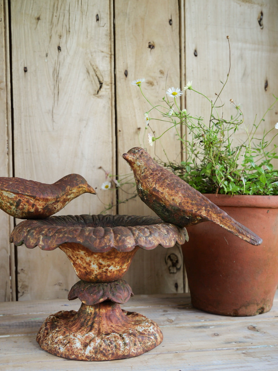 Victorian Cast Iron Bird Bath