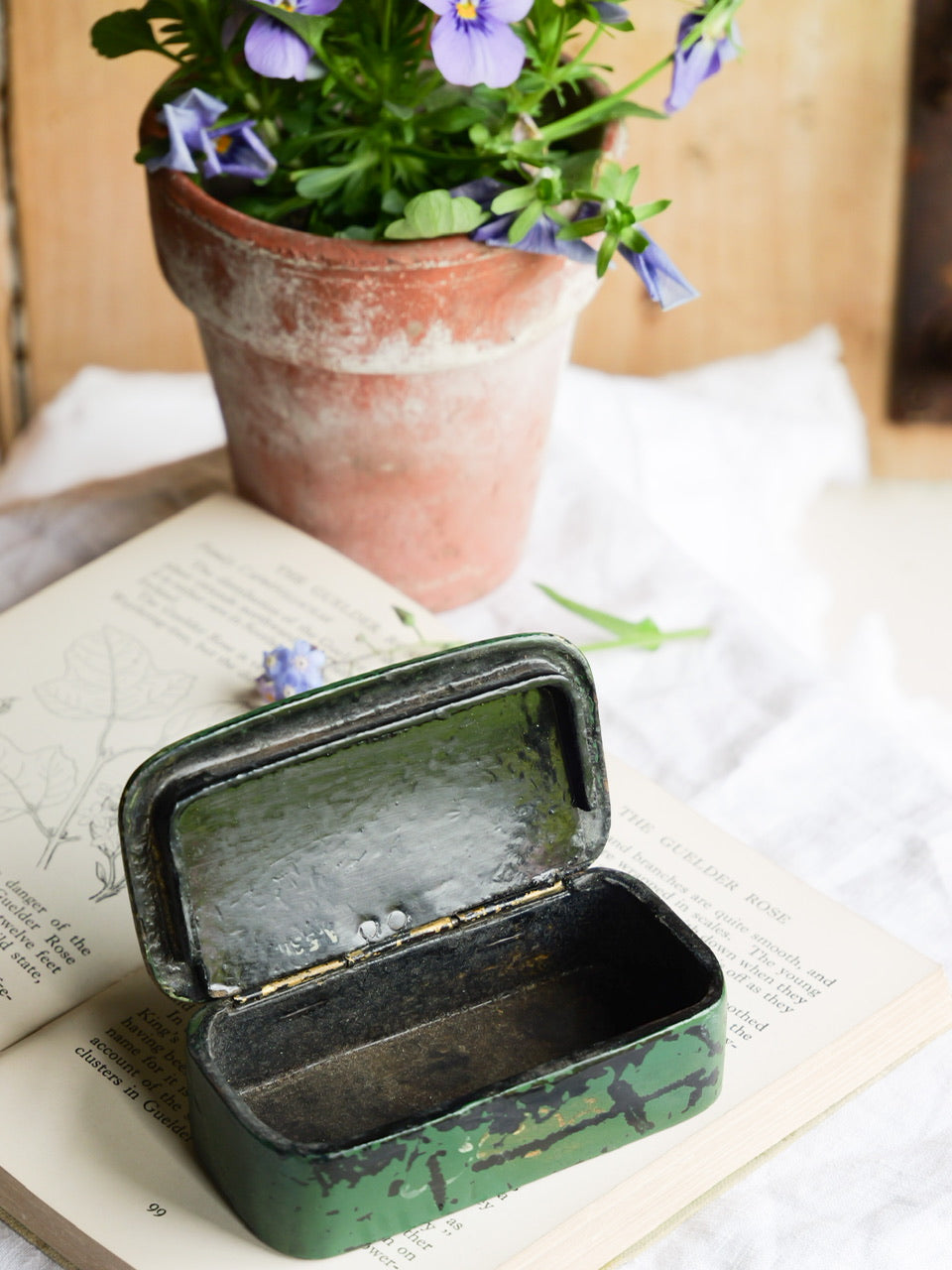 Antique Hand Painted Papier-mâché Snuff Box