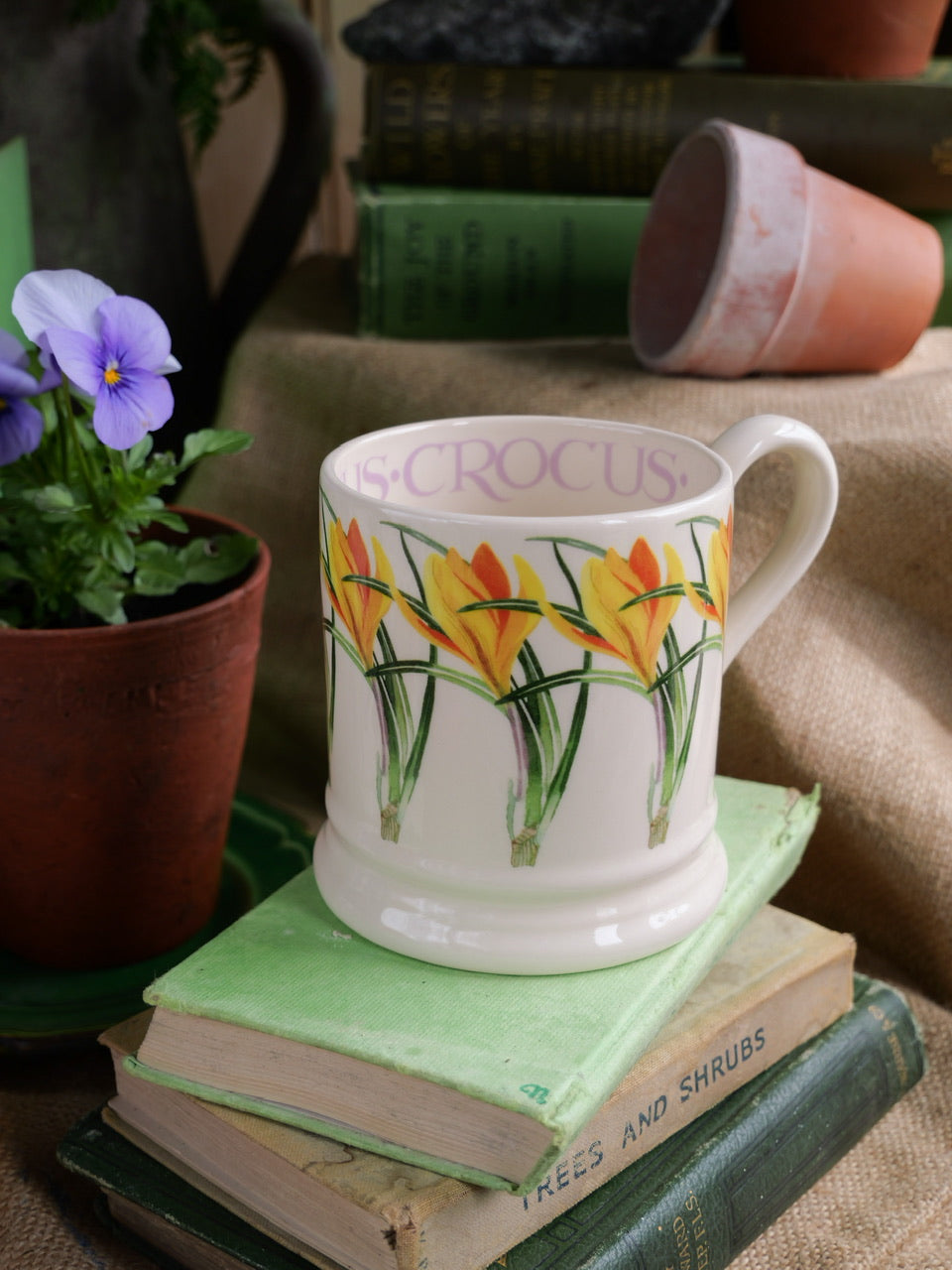 Emma Bridgewater Mug - ‘Crocus’