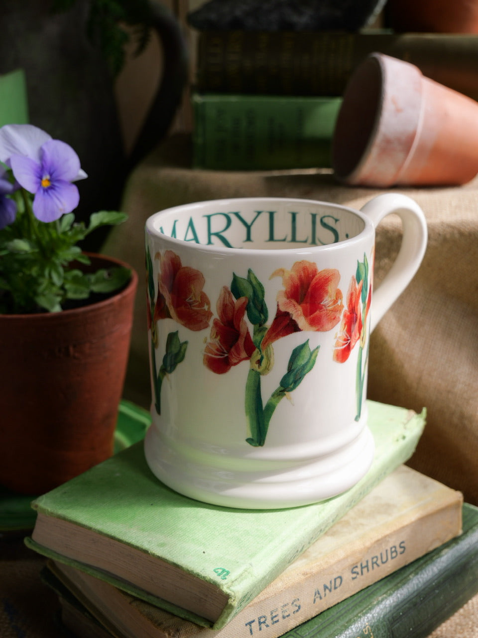 Emma Bridgewater Mug - ‘Amaryllis’