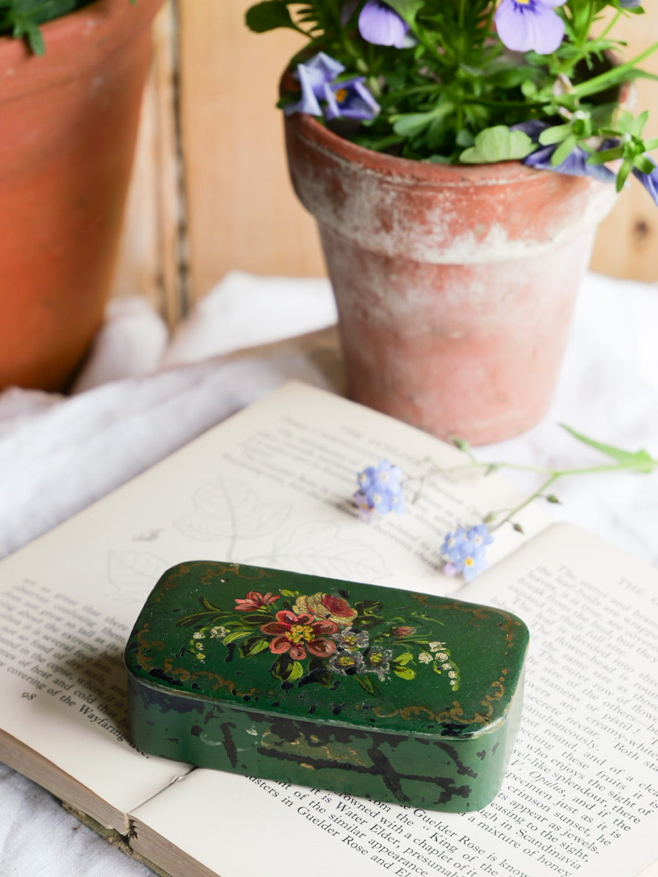 Antique Hand Painted Papier-mâché Snuff Box