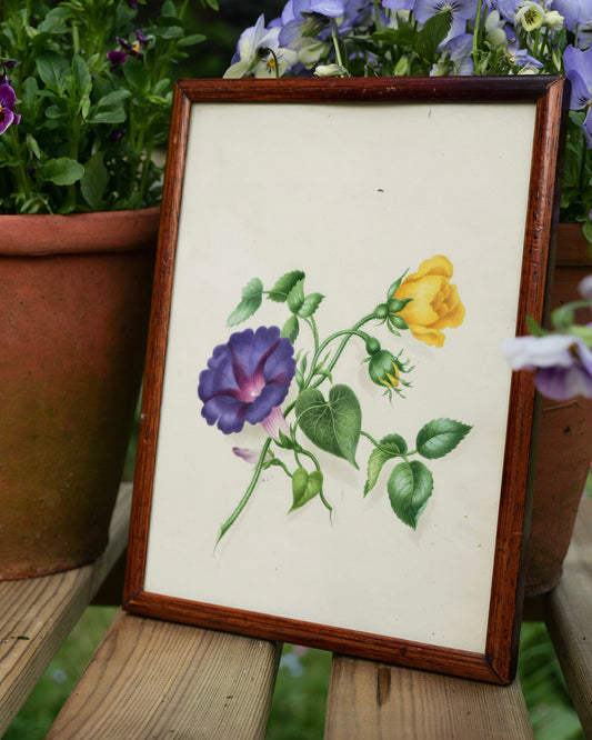 19th Century Victorian Floral Watercolour Painting