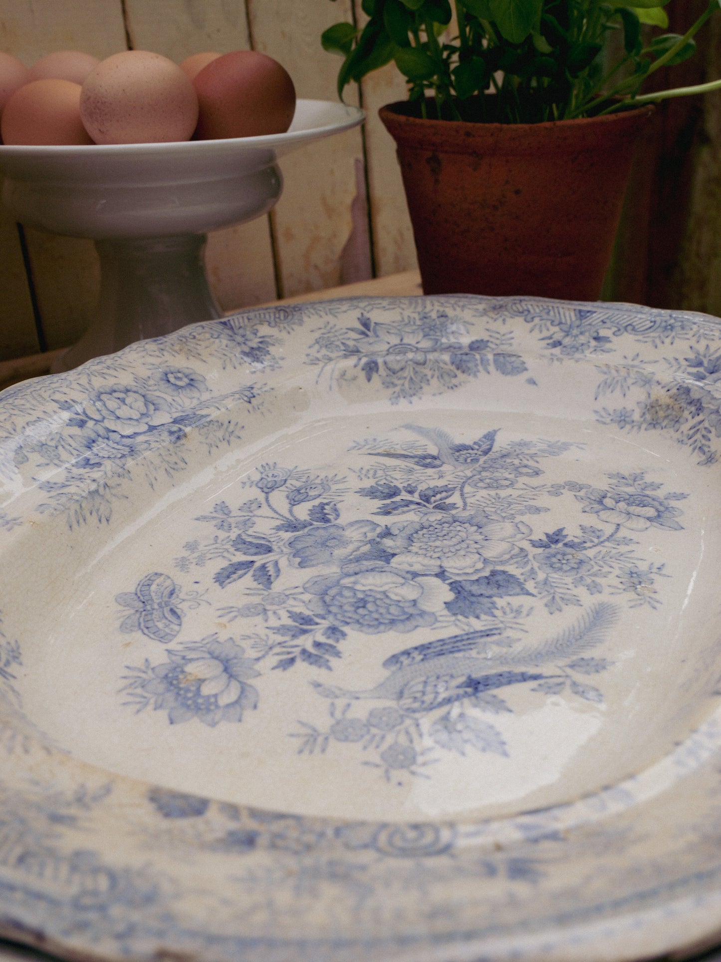 Antique Blue ‘Asiatic Pheasants’ Platters